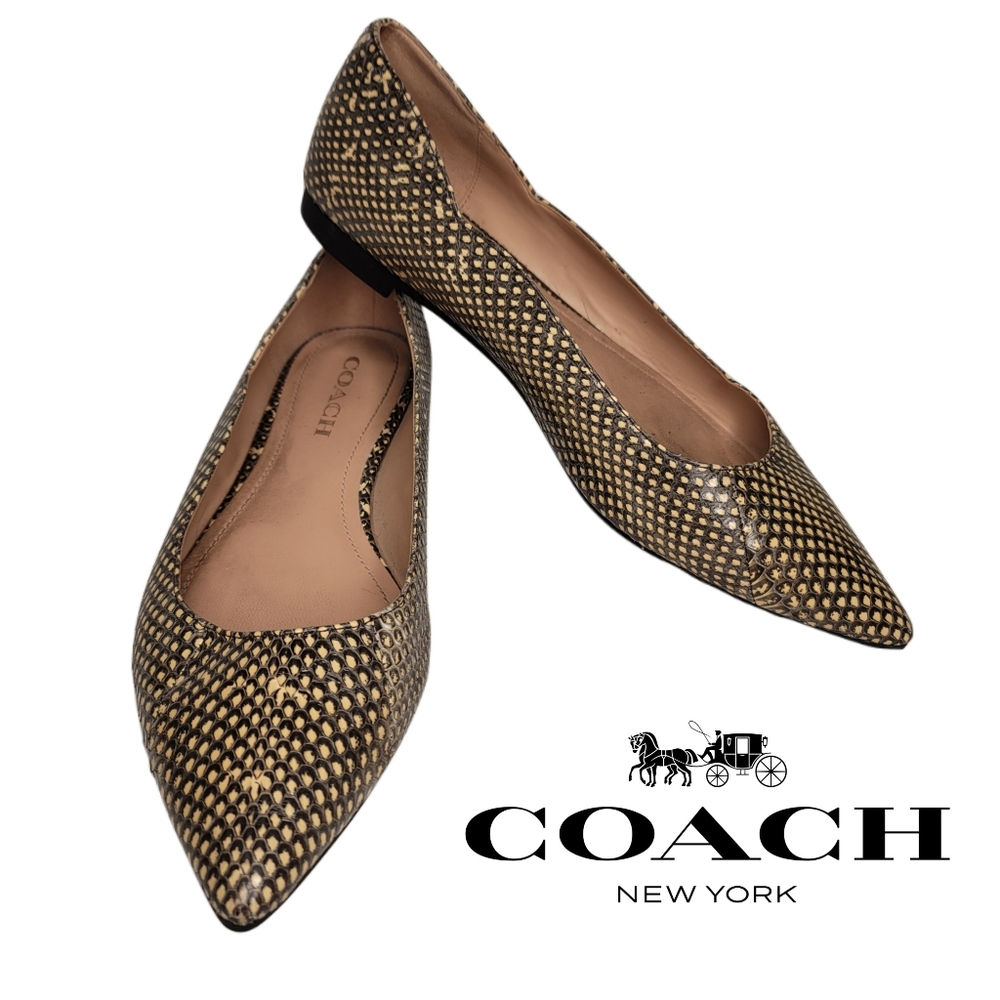 Coach vierra skimmer snake skin point toe ballet flats size 8.5 g5226